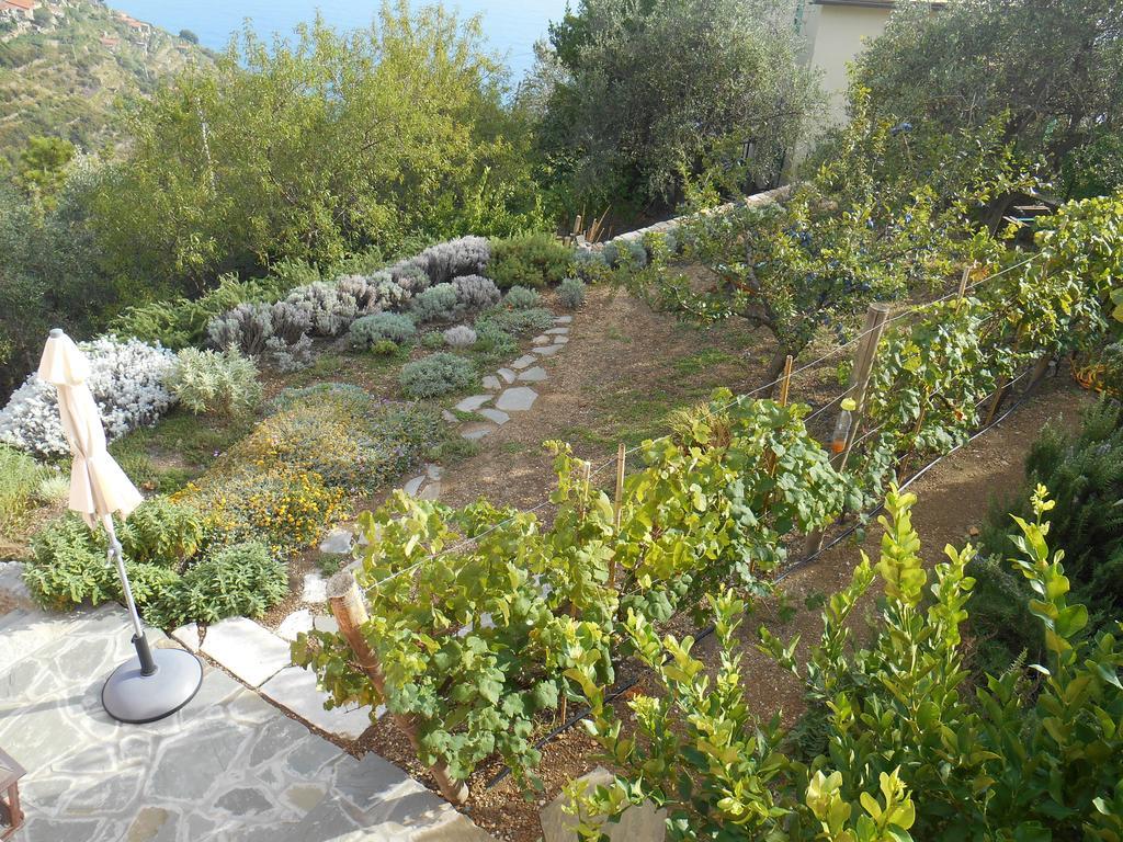 Hotel Il Nettare à Riomaggiore Extérieur photo